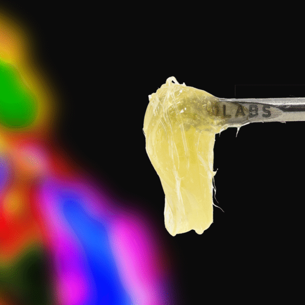 Persy Rosin – 710 Labs